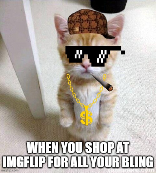 Swag Cat | WHEN YOU SHOP AT IMGFLIP FOR ALL YOUR BLING | image tagged in memes,cute cat,imgflip,swag,cat,balling | made w/ Imgflip meme maker