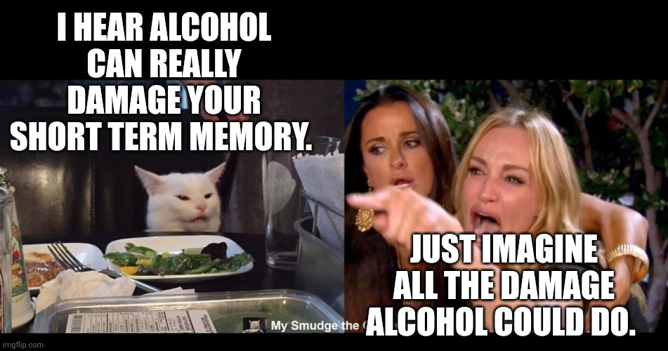 I HEAR ALCOHOL CAN REALLY DAMAGE YOUR SHORT TERM MEMORY. JUST IMAGINE ALL THE DAMAGE ALCOHOL COULD DO. | image tagged in smudge the cat | made w/ Imgflip meme maker