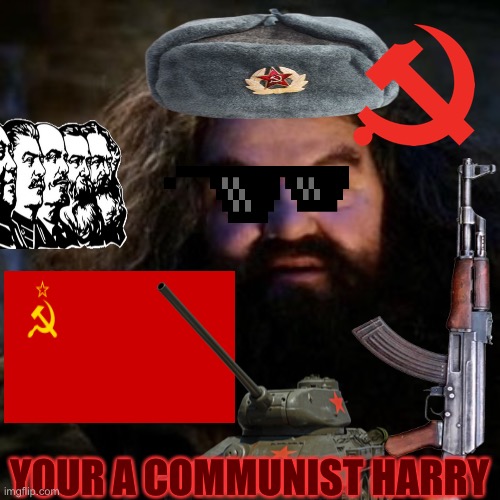 Hail mother russia | YOUR A COMMUNIST HARRY | image tagged in hagrid | made w/ Imgflip meme maker