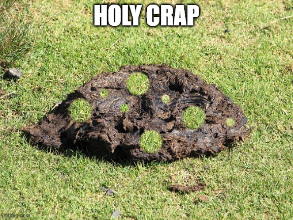 HOLY CRAP | made w/ Imgflip meme maker