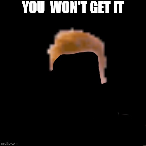 You wouldn't understand. | YOU  WON'T GET IT | image tagged in lol,reference,meme,hair,head,face | made w/ Imgflip meme maker