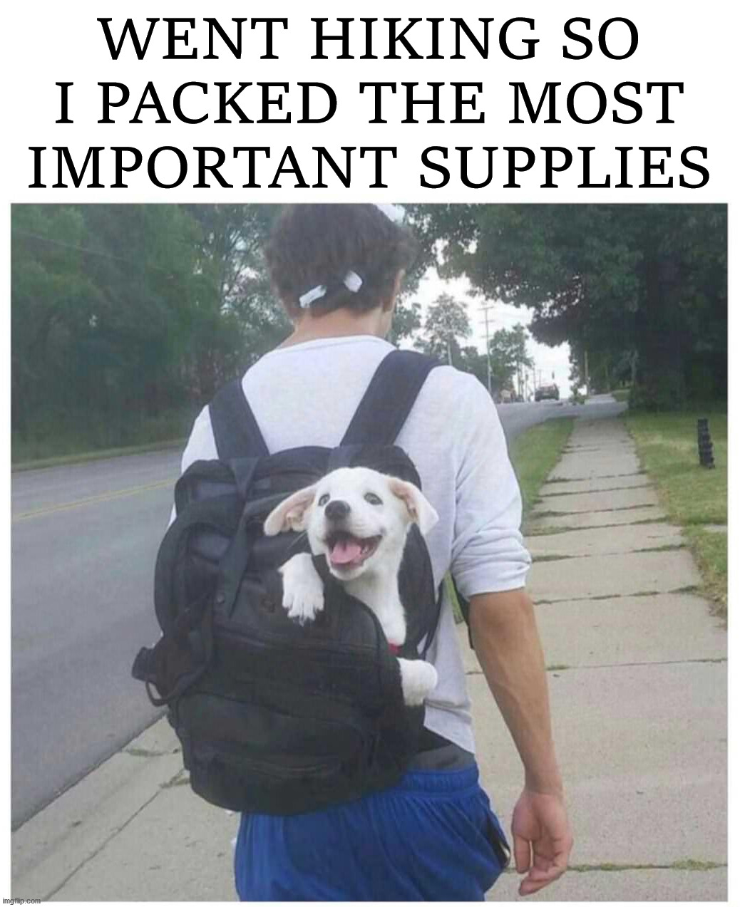 WENT HIKING SO I PACKED THE MOST IMPORTANT SUPPLIES | image tagged in dogs | made w/ Imgflip meme maker