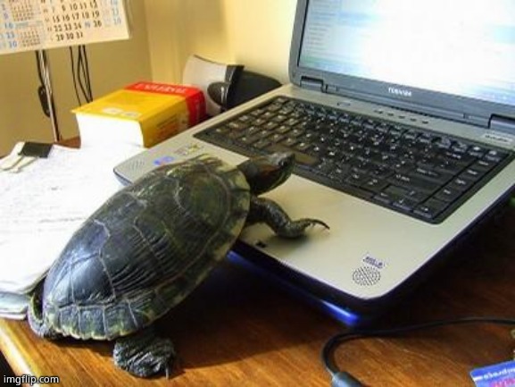 Turtle Computer | image tagged in turtle computer | made w/ Imgflip meme maker