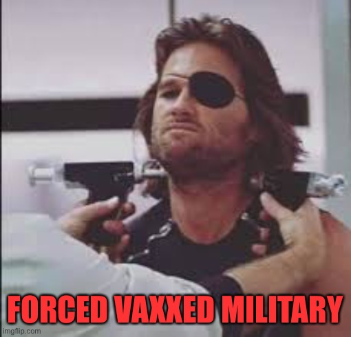 Military Vaccine | FORCED VAXXED MILITARY | image tagged in snake vaxxed,covid-19,vaccine,military | made w/ Imgflip meme maker