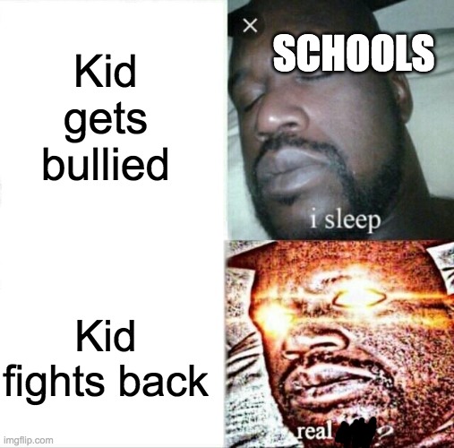 An original title here | Kid gets bullied; SCHOOLS; Kid fights back | image tagged in memes,sleeping shaq | made w/ Imgflip meme maker