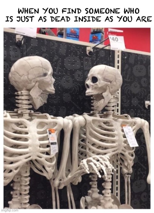 I’m just as dead as you :) | WHEN YOU FIND SOMEONE WHO IS JUST AS DEAD INSIDE AS YOU ARE | image tagged in memes,funny,skeletons,lmao,oop,lol | made w/ Imgflip meme maker