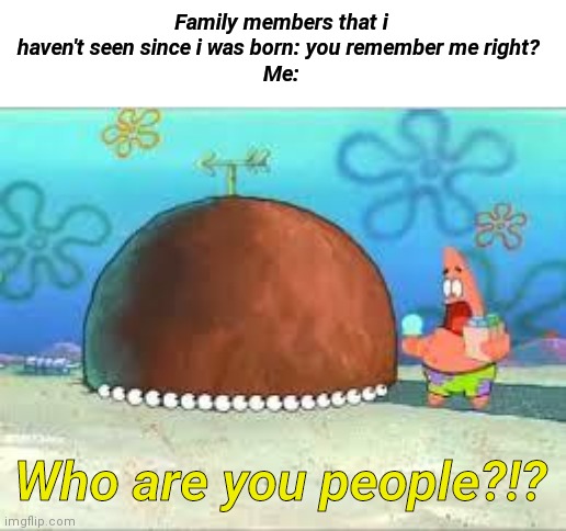WHO ARE YOU PEOPLE? | Family members that i haven't seen since i was born: you remember me right? 
Me:; Who are you people?!? | image tagged in who are you people | made w/ Imgflip meme maker