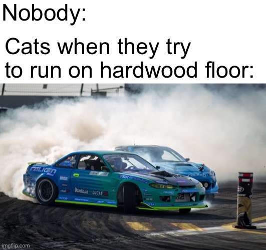 Nobody: Cats when they try to run on hardwood floor: | made w/ Imgflip meme maker