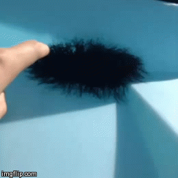 image tagged in gifs | made w/ Imgflip video-to-gif maker