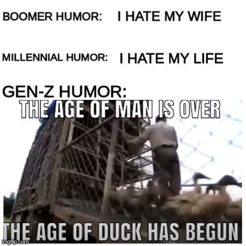 ALL HAIL THE DUCKS | image tagged in memes,gen z humor,funny,man,ducks | made w/ Imgflip meme maker