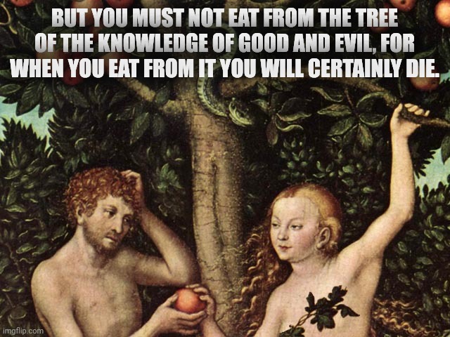 The First Sin | BUT YOU MUST NOT EAT FROM THE TREE OF THE KNOWLEDGE OF GOOD AND EVIL, FOR WHEN YOU EAT FROM IT YOU WILL CERTAINLY DIE. | image tagged in adam and eve,forbidden knowledge,forbidden,knowledge,the first sin | made w/ Imgflip meme maker