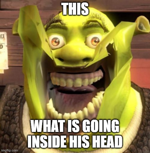 Is shrek ok | THIS; WHAT IS GOING INSIDE HIS HEAD | image tagged in funny memes | made w/ Imgflip meme maker