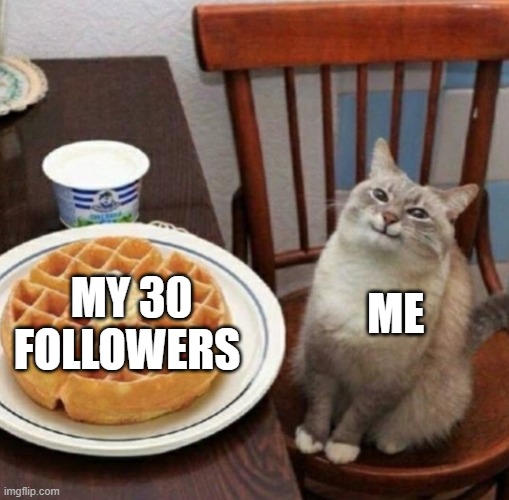 Cat likes their waffle | ME; MY 30 FOLLOWERS | image tagged in cat likes their waffle | made w/ Imgflip meme maker