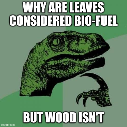 But why? | WHY ARE LEAVES CONSIDERED BIO-FUEL; BUT WOOD ISN'T | image tagged in memes,philosoraptor | made w/ Imgflip meme maker