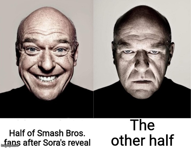 Which one were you? | The other half; Half of Smash Bros. fans after Sora's reveal | image tagged in breaking bad smile frown,thank you sakurai,smash bros,sora,super smash bros,kingdom hearts | made w/ Imgflip meme maker