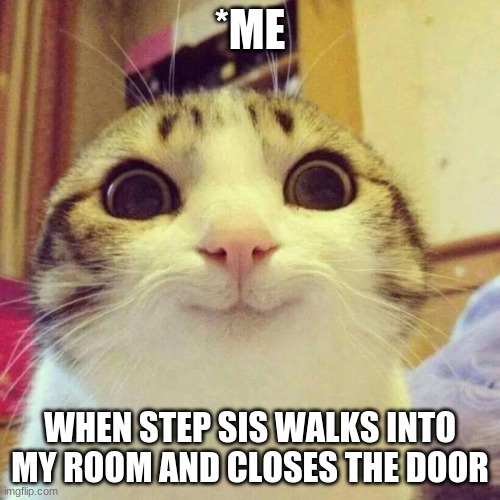 Smiling Cat | *ME; WHEN STEP SIS WALKS INTO MY ROOM AND CLOSES THE DOOR | image tagged in memes,smiling cat | made w/ Imgflip meme maker