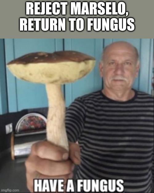 have a fungus | REJECT MARSELO, RETURN TO FUNGUS | image tagged in have a fungus | made w/ Imgflip meme maker