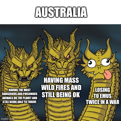 King Ghidorah |  AUSTRALIA; HAVING MASS WILD FIRES AND STILL BEING OK; LOSING TO EMUS TWICE IN A WAR; HAVING THE MOST DANGEROUS AND POISONOUS ANIMALS ON THE PLANET AND STILL BEING ABLE TO THRIVE | image tagged in king ghidorah | made w/ Imgflip meme maker
