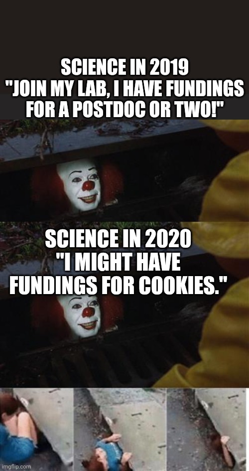 Science in 2020 | SCIENCE IN 2019
"JOIN MY LAB, I HAVE FUNDINGS FOR A POSTDOC OR TWO!"; SCIENCE IN 2020
"I MIGHT HAVE FUNDINGS FOR COOKIES." | image tagged in pennywise in sewer | made w/ Imgflip meme maker