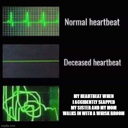 ah....good old filipino days.....wait-wat did i jus- | MY HEARTBEAT WHEN I ACCIDENTLY SLAPPED MY SISTER AND MY MOM WALKS IN WITH A WHISK BROOM | image tagged in heartbeat rate,wait what,good old days | made w/ Imgflip meme maker
