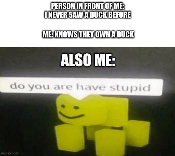 do you are have stupid | ME: KNOWS THEY OWN A DUCK; PERSON IN FRONT OF ME: I NEVER SAW A DUCK BEFORE; ALSO ME: | image tagged in do you are have stupid | made w/ Imgflip meme maker