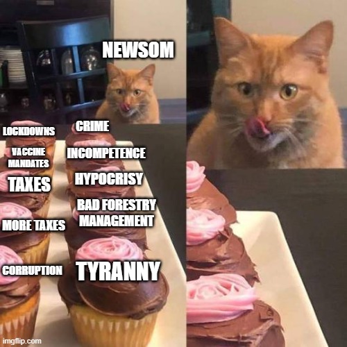 Newsom Cat | NEWSOM; CRIME; LOCKDOWNS; INCOMPETENCE; VACCINE MANDATES; HYPOCRISY; TAXES; BAD FORESTRY MANAGEMENT; MORE TAXES; CORRUPTION; TYRANNY | image tagged in cat licking lips,california,politicians suck,newsom,government corruption | made w/ Imgflip meme maker