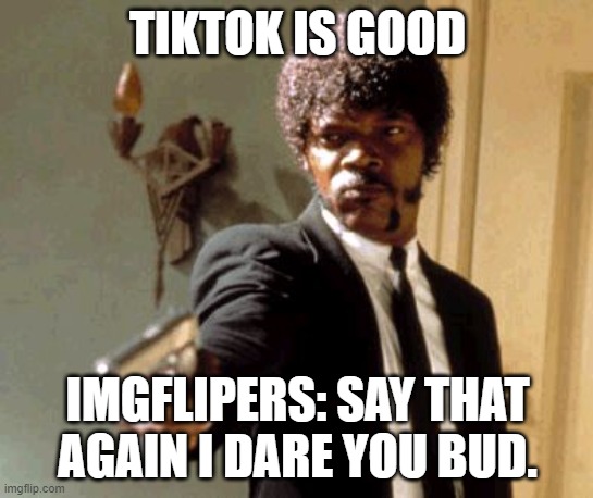 Say That Again I Dare You | TIKTOK IS GOOD; IMGFLIPERS: SAY THAT AGAIN I DARE YOU BUD. | image tagged in memes,say that again i dare you | made w/ Imgflip meme maker