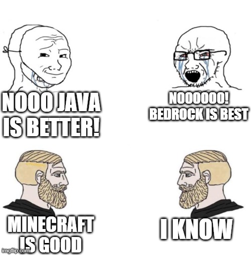 please shut the duck up  about java or bedrock. | NOOO JAVA IS BETTER! NOOOOOO! BEDROCK IS BEST; I KNOW; MINECRAFT IS GOOD | image tagged in chad we know | made w/ Imgflip meme maker