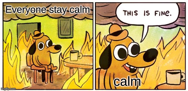 This Is Fine Meme | Everyone stay calm; calm | image tagged in memes,this is fine | made w/ Imgflip meme maker