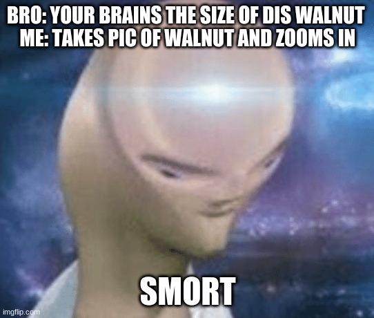 smort walnut | BRO: YOUR BRAINS THE SIZE OF DIS WALNUT 
ME: TAKES PIC OF WALNUT AND ZOOMS IN; SMORT | image tagged in smort | made w/ Imgflip meme maker