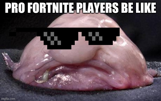 Blobfish | PRO FORTNITE PLAYERS BE LIKE | image tagged in blobfish | made w/ Imgflip meme maker