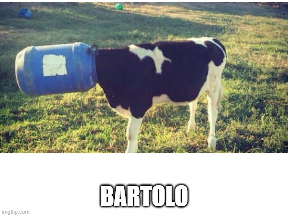 BARTOLO | image tagged in cow | made w/ Imgflip meme maker