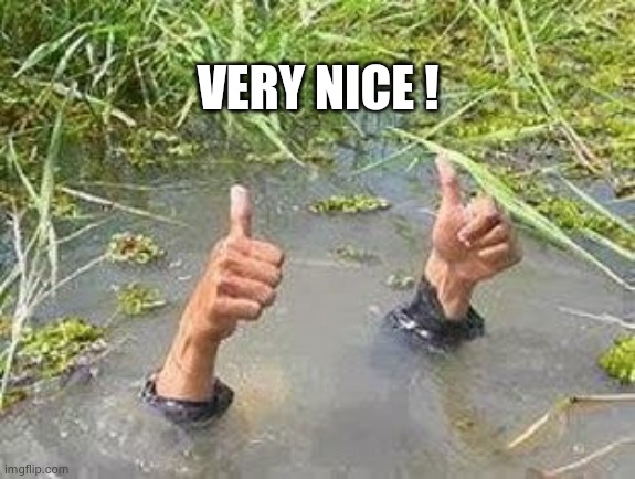 FLOODING THUMBS UP | VERY NICE ! | image tagged in flooding thumbs up | made w/ Imgflip meme maker