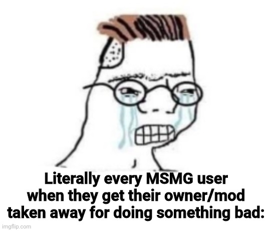 Literally every MSMG user when they get their owner/mod taken away for doing something bad: | made w/ Imgflip meme maker