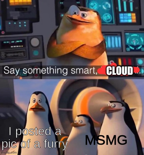 Say something smart Kowalski | CLOUD; I posted a pic of a furry; MSMG | image tagged in say something smart kowalski | made w/ Imgflip meme maker