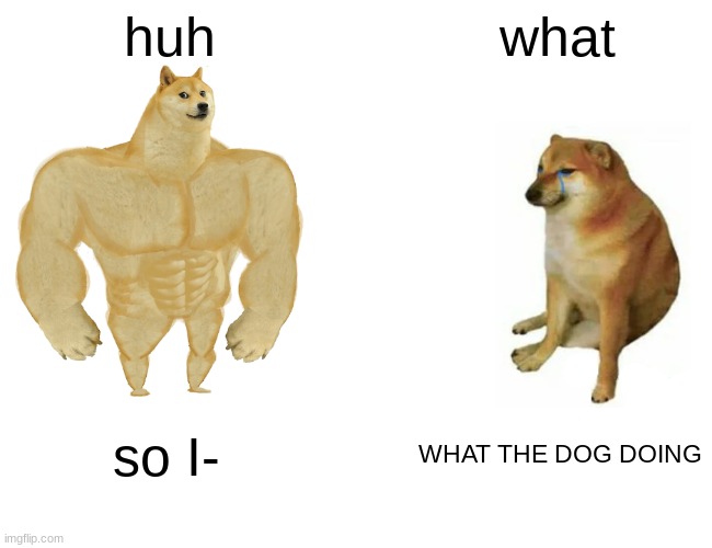 this is by me give credit to nobody but me | huh; what; so I-; WHAT THE DOG DOING | image tagged in memes,buff doge vs cheems | made w/ Imgflip meme maker