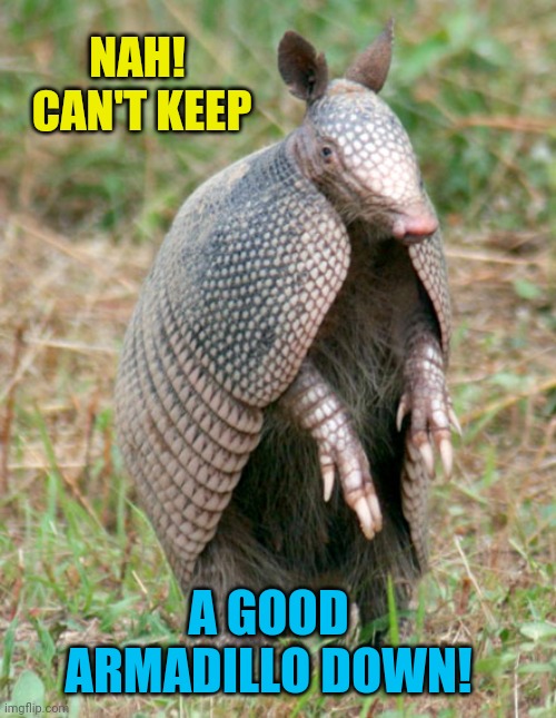 NAH!  CAN'T KEEP A GOOD ARMADILLO DOWN! | made w/ Imgflip meme maker