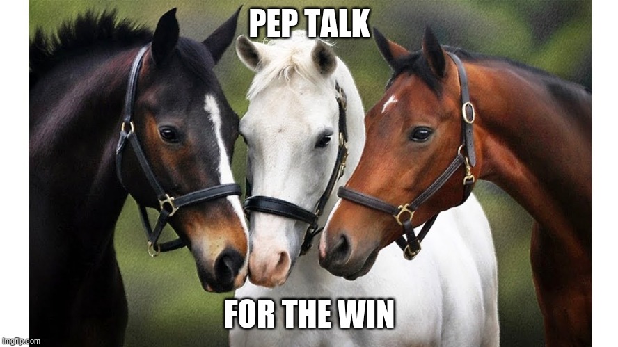 Pony Pep Talk | PEP TALK; FOR THE WIN | image tagged in horses | made w/ Imgflip meme maker
