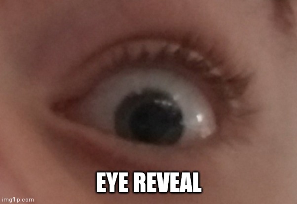 Pingas | EYE REVEAL | made w/ Imgflip meme maker