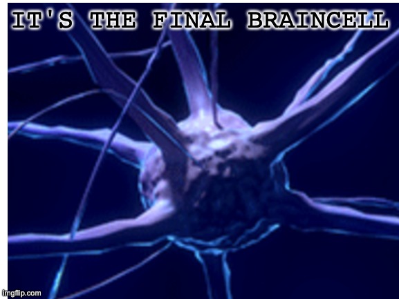 The Final Braincell | IT'S THE FINAL BRAINCELL | image tagged in stupid,blank white template | made w/ Imgflip meme maker