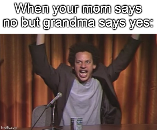 Eric Andre YES | When your mom says no but grandma says yes: | image tagged in eric andre yes | made w/ Imgflip meme maker