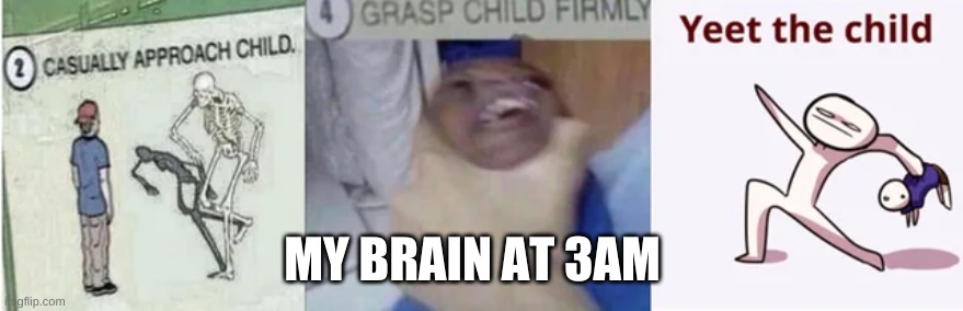 im loosing my sanityyyyyy! | MY BRAIN AT 3AM | image tagged in casually approach child grasp child firmly yeet the child | made w/ Imgflip meme maker
