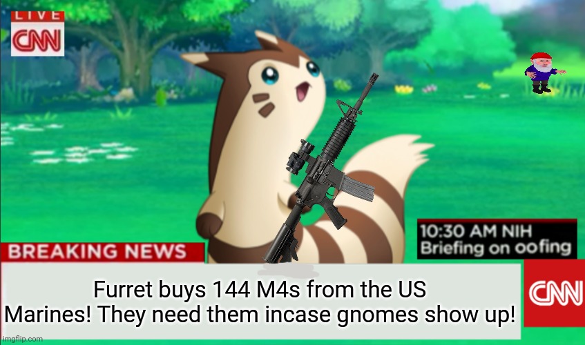New arms shipment came in! | Furret buys 144 M4s from the US Marines! They need them incase gnomes show up! | image tagged in breaking news furret,furret,pokemon,cute animals,ar15 | made w/ Imgflip meme maker