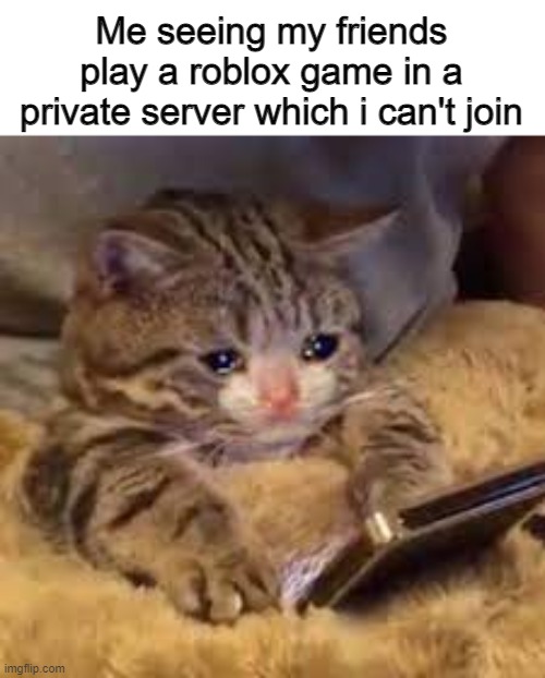 Let me in. now. |  Me seeing my friends play a roblox game in a private server which i can't join | image tagged in sad spognabeob,memes,funny,roblox,fun | made w/ Imgflip meme maker