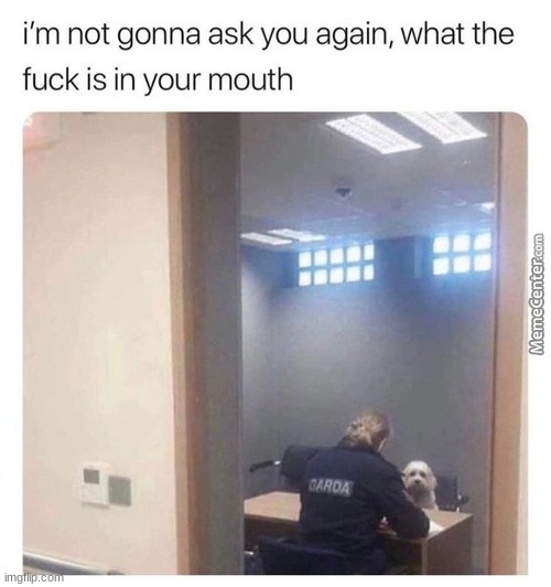 made w/ Imgflip meme maker