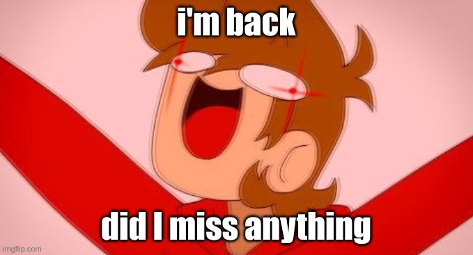 tord on drugs | i'm back; did I miss anything | image tagged in tord on drugs | made w/ Imgflip meme maker