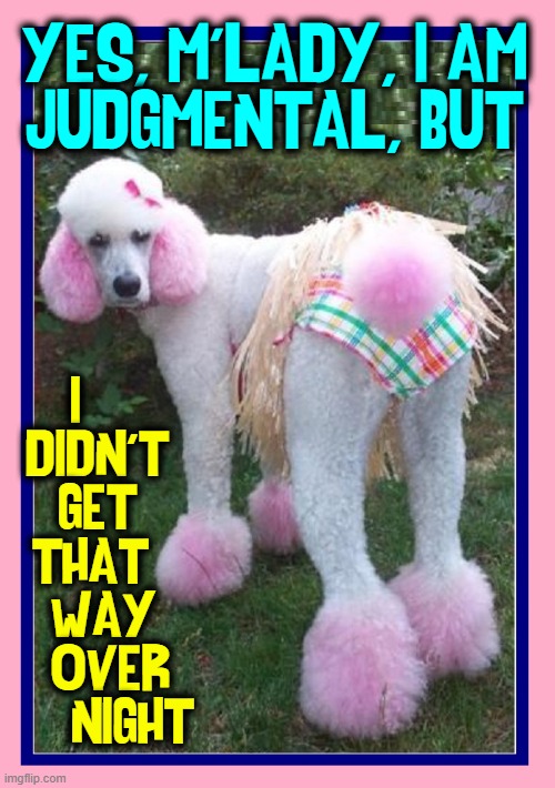 What Some Dogs Endure... |  YES, M'LADY, I AM
JUDGMENTAL, BUT; I        
DIDN'T     
GET     
THAT      
WAY    
OVER   
NIGHT | image tagged in vince vance,dogs,memes,judgmental,pink,poodles | made w/ Imgflip meme maker