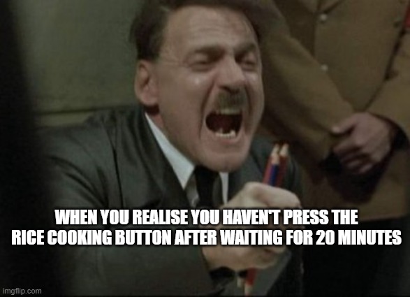 shit | WHEN YOU REALISE YOU HAVEN'T PRESS THE RICE COOKING BUTTON AFTER WAITING FOR 20 MINUTES | image tagged in hitler downfall | made w/ Imgflip meme maker