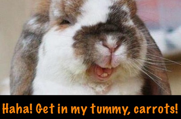 Haha! Get in my tummy, carrots! | made w/ Imgflip meme maker