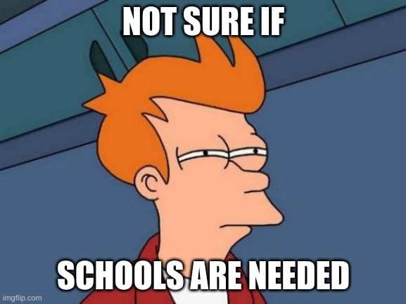 Futurama Fry | NOT SURE IF; SCHOOLS ARE NEEDED | image tagged in memes,futurama fry | made w/ Imgflip meme maker